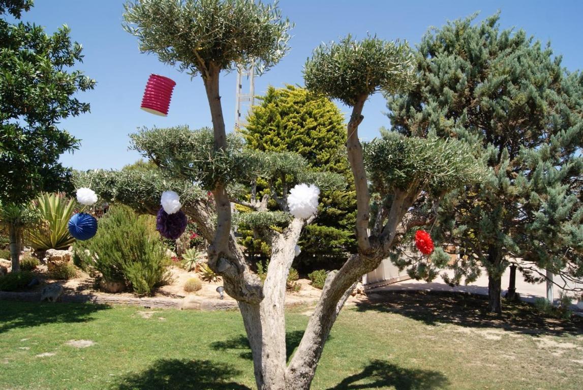 Los Jardines De Lola Daimés Εξωτερικό φωτογραφία