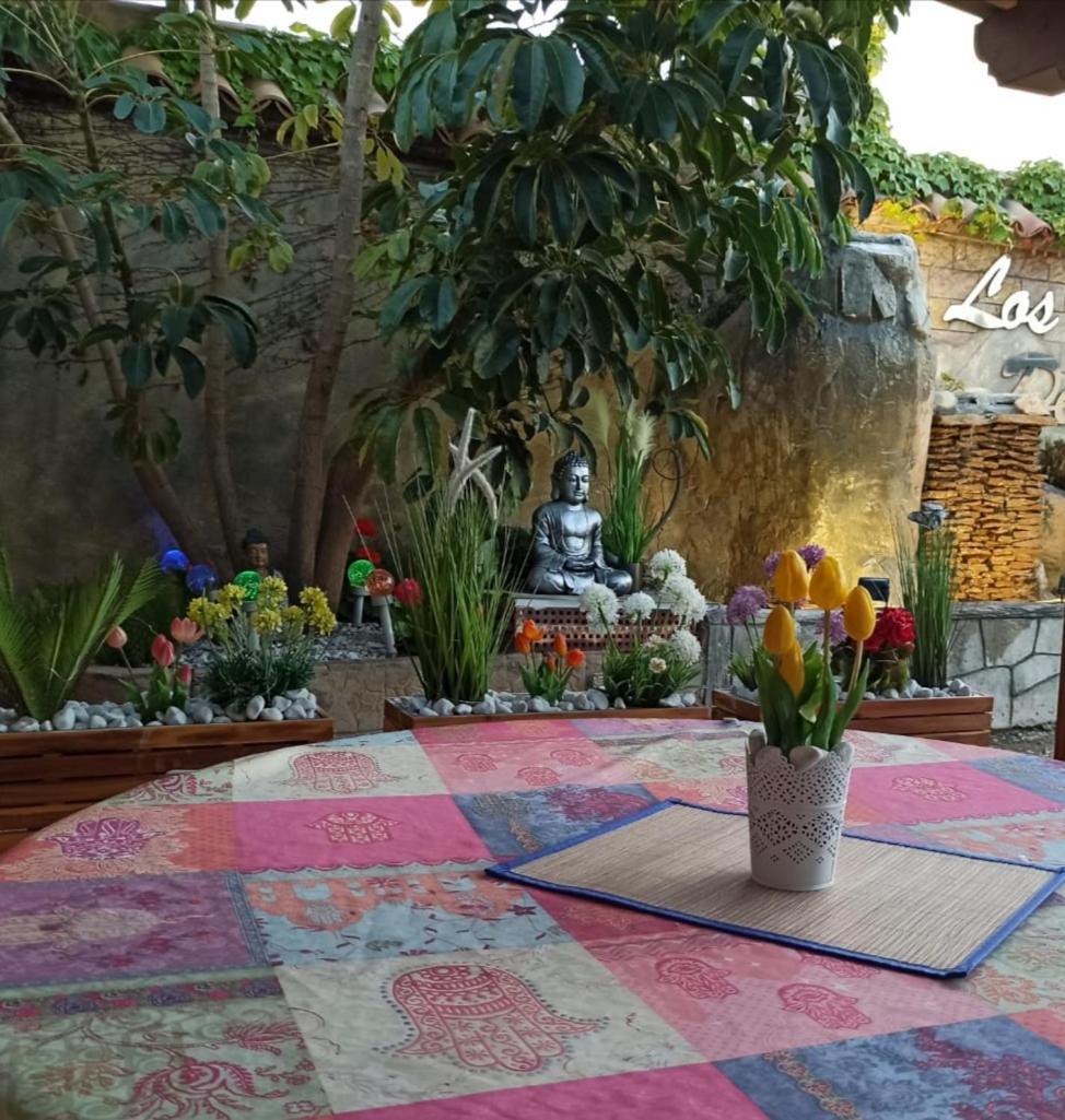 Los Jardines De Lola Daimés Εξωτερικό φωτογραφία