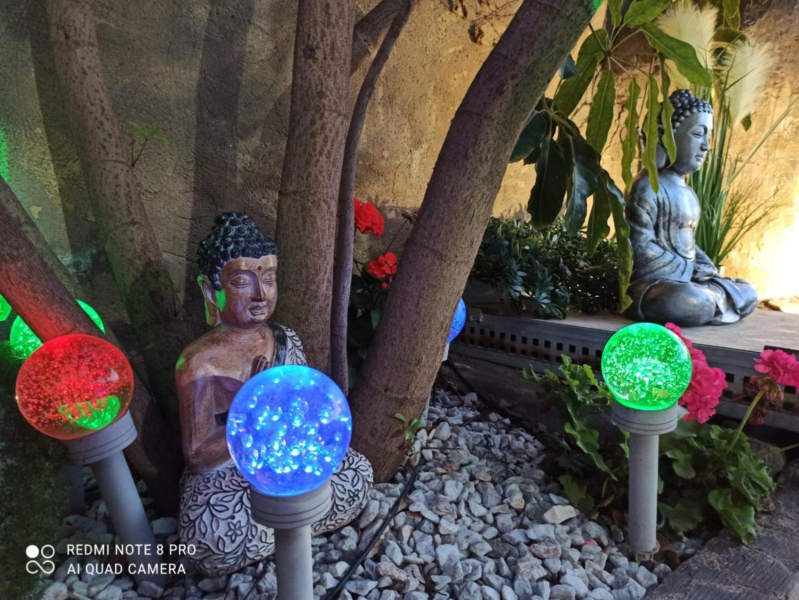 Los Jardines De Lola Daimés Εξωτερικό φωτογραφία